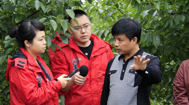 走进知心阳光，感受“爱与责任” ——阳光财险2025年客户节精彩开幕